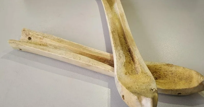 Коньки ең алғаш 3600 жыл бұрын Қазақстан аумағында жасалған