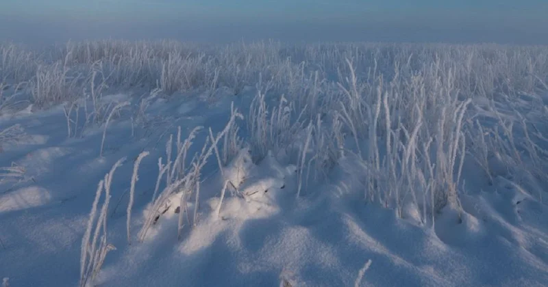 Выехал за скотом: пастух пропал в Жамбылской области