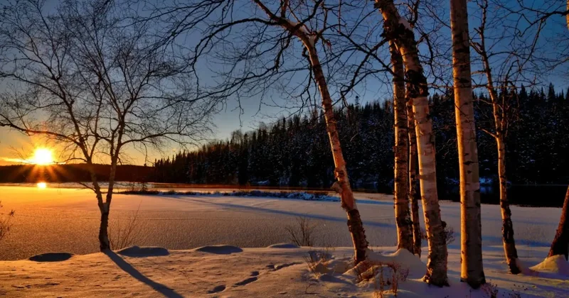 Прогноз погоды на 16 февраля: снег, метели и гололёд ожидаются в ряде регионов Казахстана