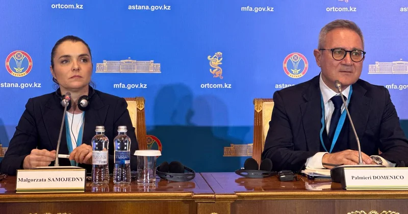 Референдум очень хорошо организован глава Итальянского института по вопросам Азии