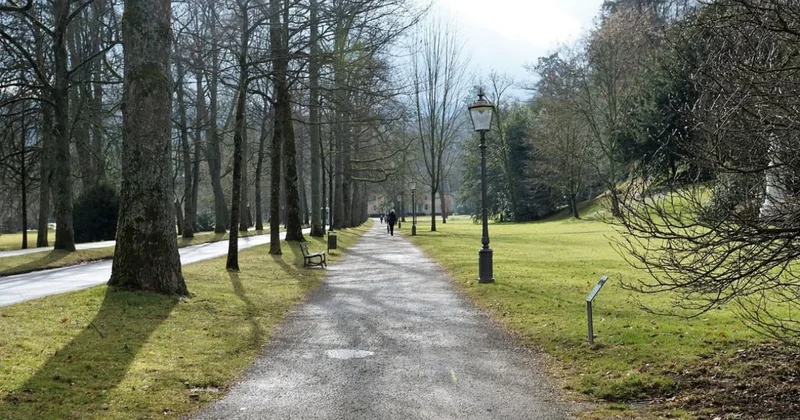 Шымкент ждет резкая смена погоды: от 2 до +20 градусов