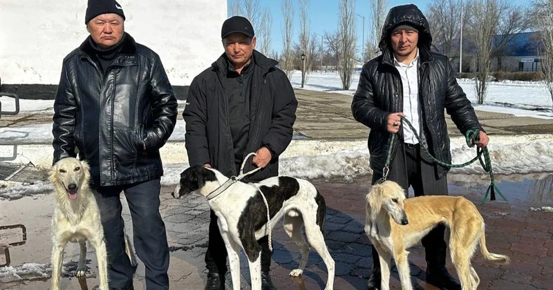 БҚО да референдум учаскесіне аңшылар тазымен келді