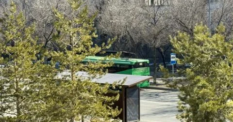 Жетісуда қоғамдық көлік тегін қызмет көрсетіп жатыр