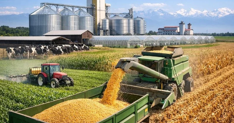 Қазақстан мен Түркия арасында ауыл шаруашылығы саласындағы тауар айналымы артып келеді