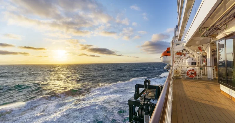 Подросток изнасиловал и задушил свою сестру на круизном лайнере