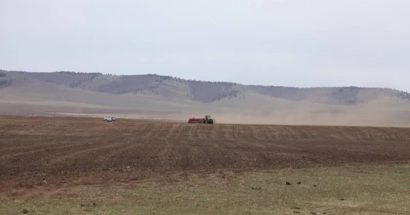 Моңғолияда көктемгі егіс 633 мың гектардан асады