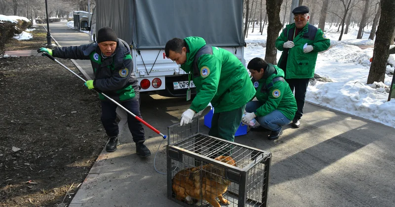 Изгнание из лая