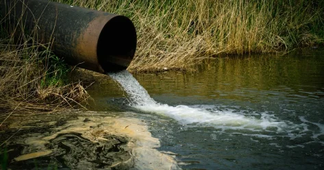 Сельский акимат допускал экологические нарушения в Атырауской области