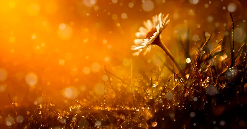 Жара до +38 и частые дожди: какая погода будет в мае в Алматы и Астане