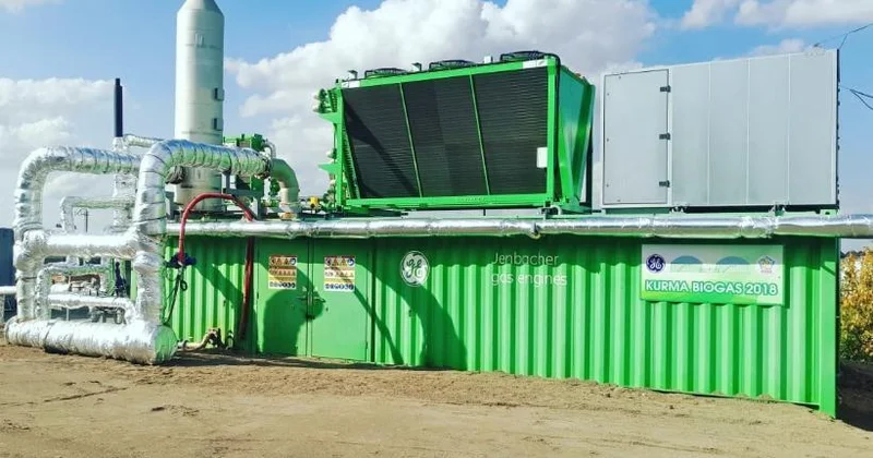 Электроэнергию из птичьего помета производит казахстанская птицефабрика