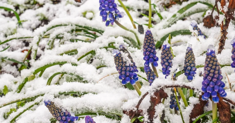 18 градусқа дейін аяз Қазақстанда күн күрт суытады