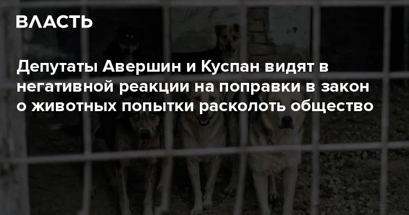 Депутаты Авершин и Куспан видят в негативной реакции на поправки в закон о животных попытки расколоть общество Аналитический интернет журнал Власть