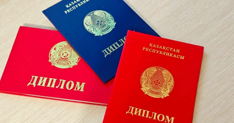 Cила есть и в вуз не надо