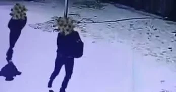 Ұлытау облысында сейф ұрлағандар ұсталды: олардың әрекеті видеоға түсіп қалған