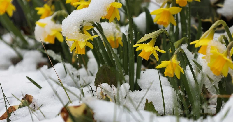 Дождь, снег, ночные заморозки, ветер: погодные качели ждут Казахстан