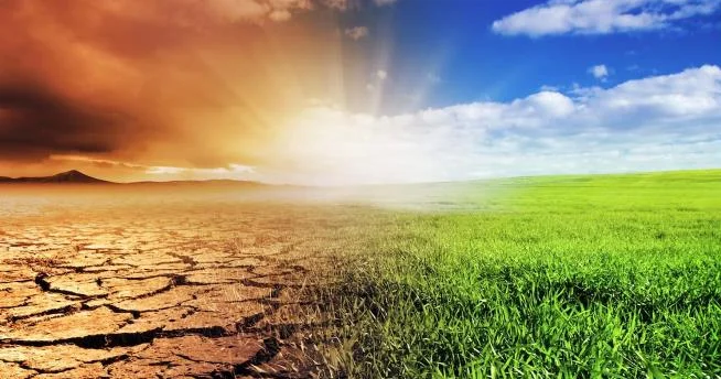 DeepBas: Құрғақшылыққа қарсы жаңа технология енгізіледі