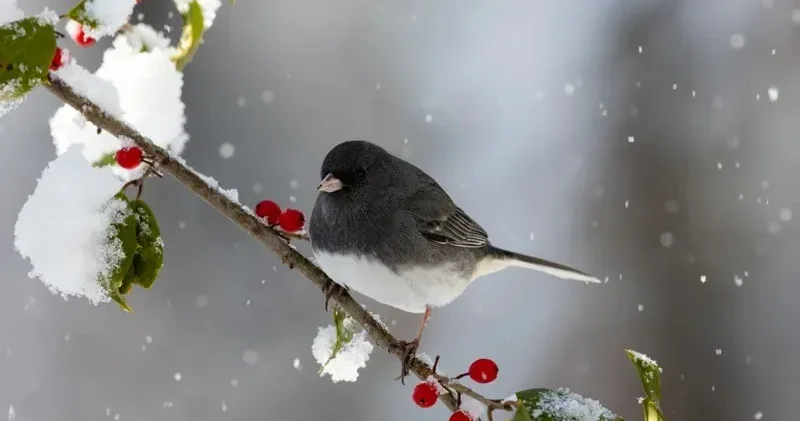 Нөсер жауын мен дауыл: 16 сәуірде қандай ауа райы күтеледі