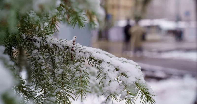 Жаңбыр, найзағай, жел: бүкіл Қазақстан бойынша ескерту жарияланды