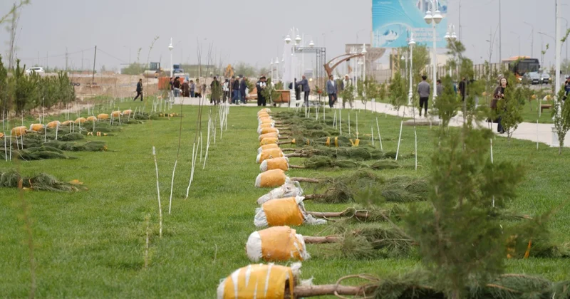 Таза Қазақстан : Түркістанда эко акция аясында 2 мыңнан аса ағаш егілді