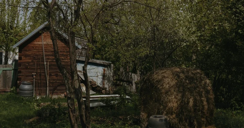 Жамбыл облысында екі оқушының өліміне қатысты тергеу жүріп жатыр