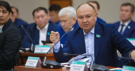 Зарплату никто получать не будет депутат про Халық Кеңесі