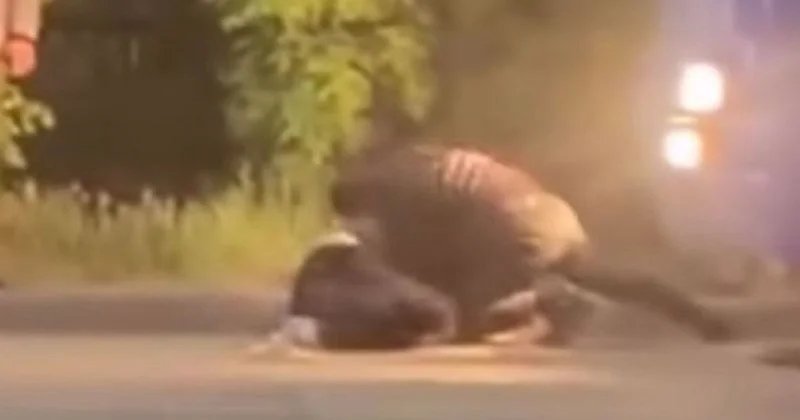 Драка водителя автобуса и пассажира попала на видео в Шахтинске