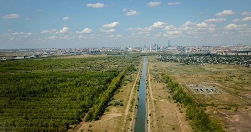Дизайн код с особым статусом
