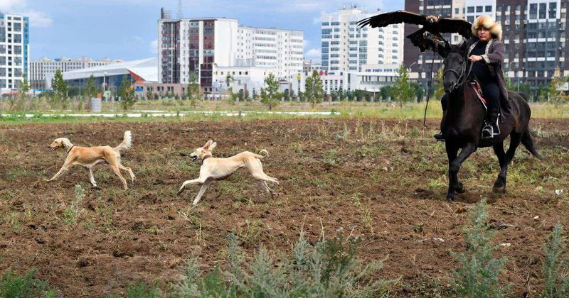 Возрождая легендарные породы