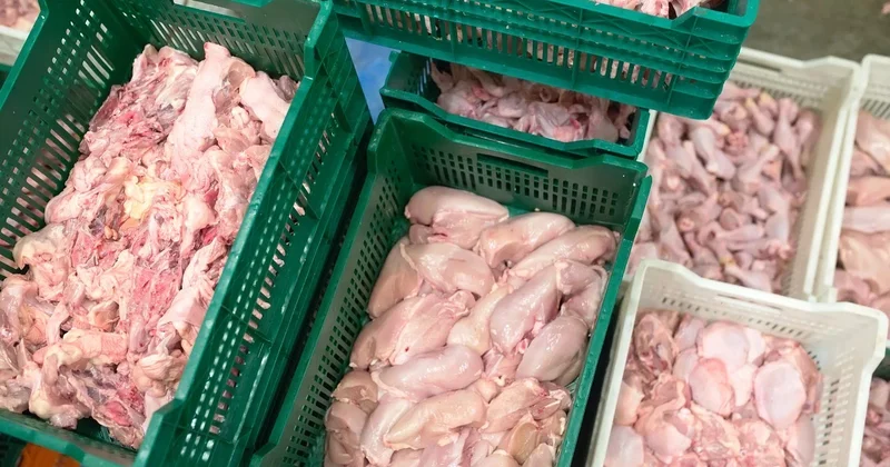 Мясо утки и курицы: 113 тонн продукции не пропустили из Китая в Казахстан