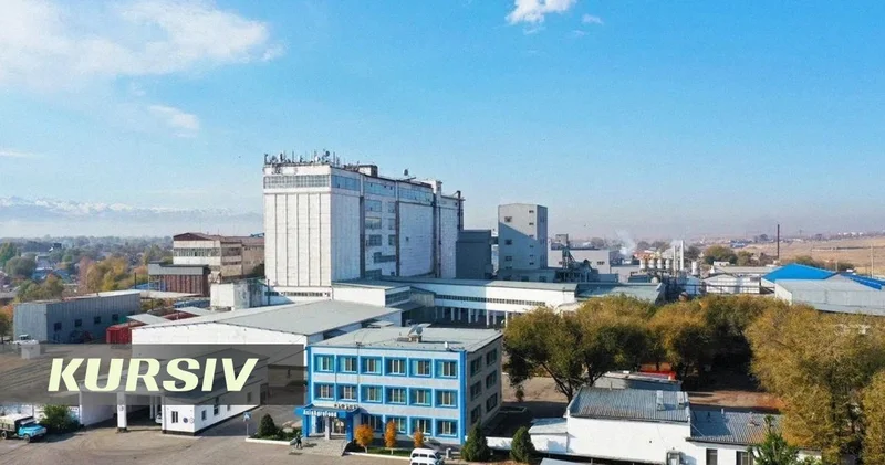 Связанная с Байтерек компания купила за 2 млрд тенге долю в предприятии миллионера