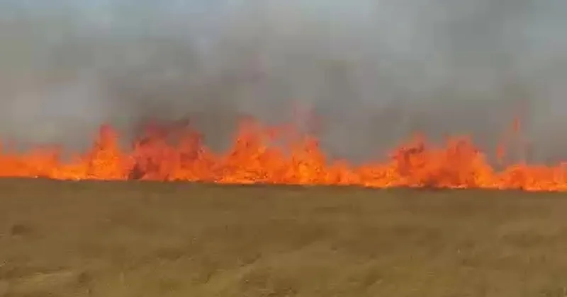 Степногорскте тыныс алу мүмкін емес Ақмола облысында бір тәулік ішінде 10 табиғи өрт болды