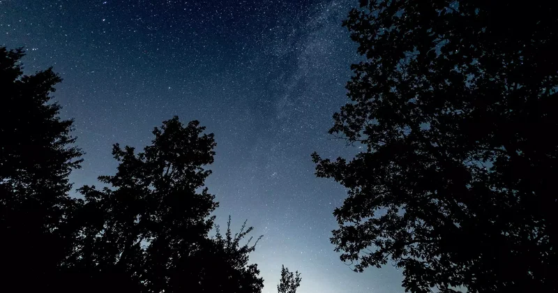 Персеид жұлдыздары әлем елдерінде қалай көрінді фото