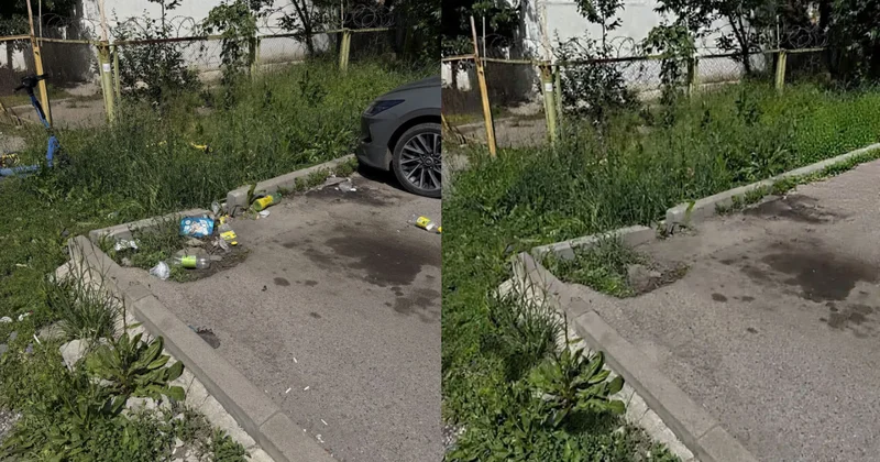 Бұл ЖИ дің кінәсі емес вице министр әкімдіктің тазартылған қоқыс туралы фотоесебі туралы