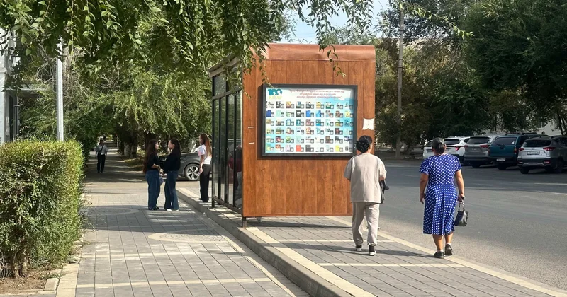 Олар көзге кіріп, киімге жабысады : ақтөбеліктер сыртқа шықпауға тырысады