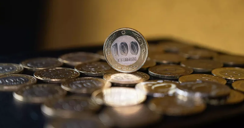 Министр қоғамдық көмекшілерге берілетін сыйақының мөлшерін жариялады