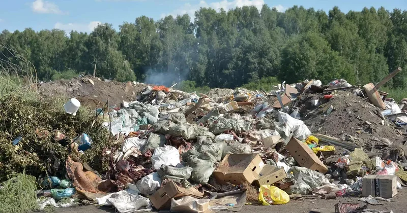 Қоқыс үйінділерін тек қағаз жүзінде жойған әкімдер жазаланды