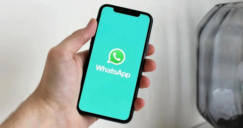 Закрыть школьные чаты в WhatsApp предложил депутат