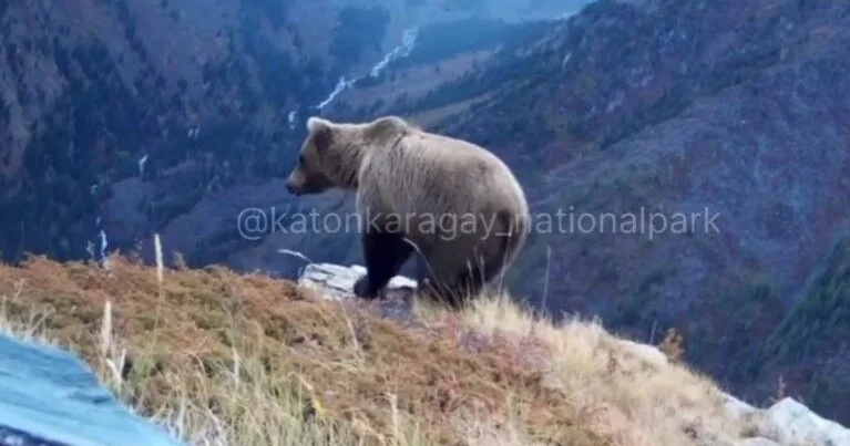 Снимают без разрешения!