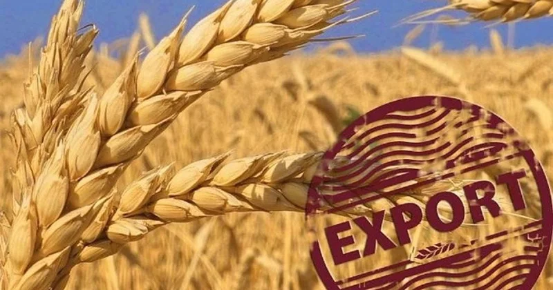 Қазақстан Түркия нарығына сиыр еті мен астық экспортын кеңейтпек