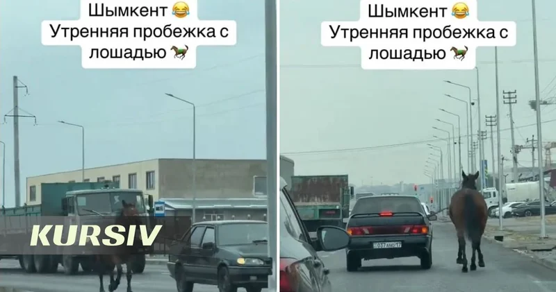 Житель Шымкента привязал лошадь к автомобилю и проехался по городу