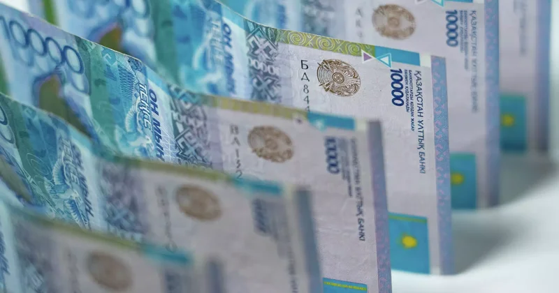 Декреттік төлемдерге қатысты қандай өзгеріс енгізіледі депутат түсіндірді