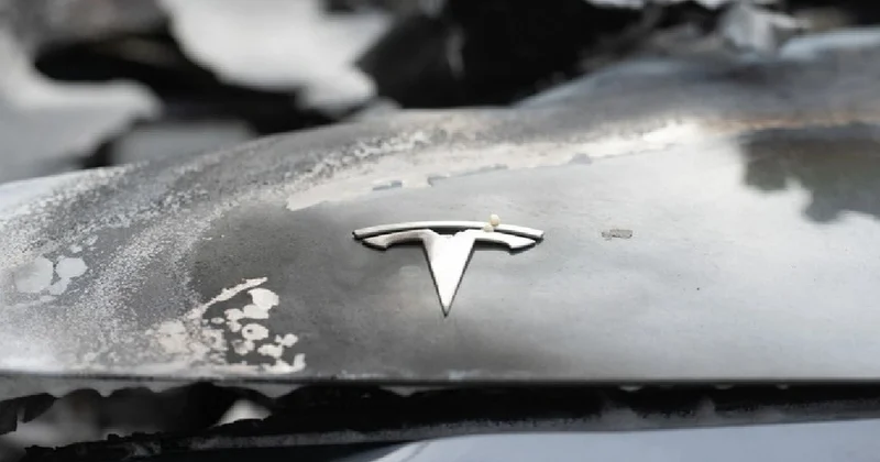 Францияда ондаған Tesla электромобилі өртеніп кетті