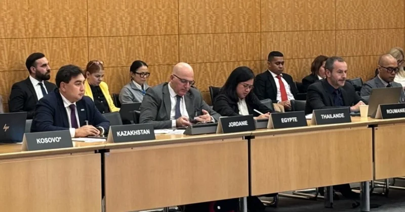 Басқару саласындағы ынтымақтастық