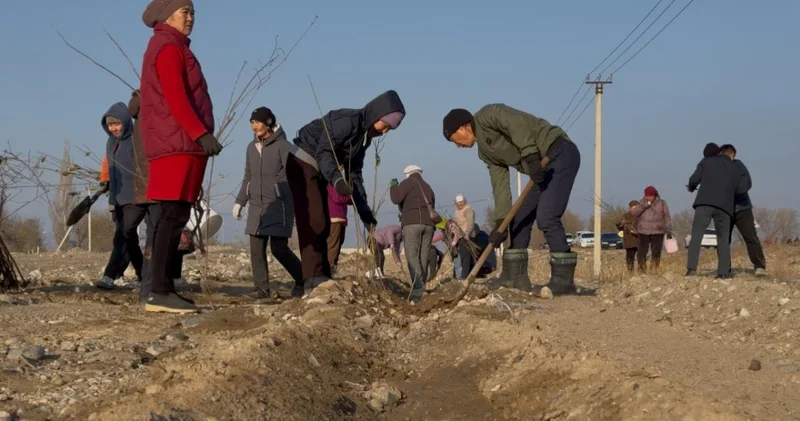 Жаркент өңірінде Taza Qazaqstan аясында 5 ауыл жаңғырды