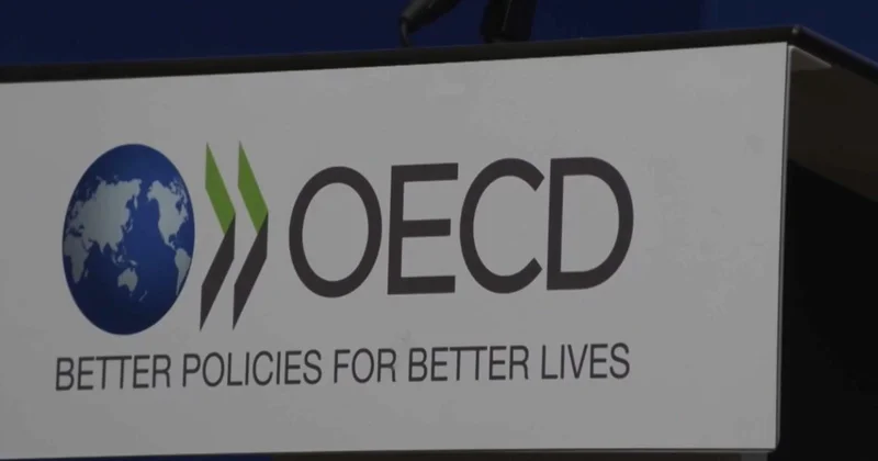 ЭЫДҰ жемқорлықпен күресті бағалады