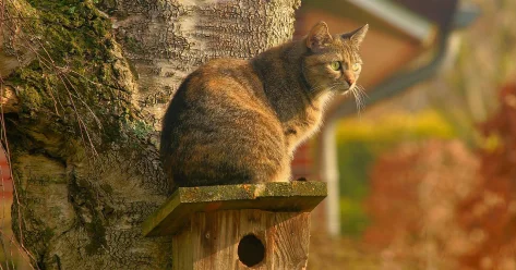 Сухая и солнечная погода придет на большую часть Казахстана