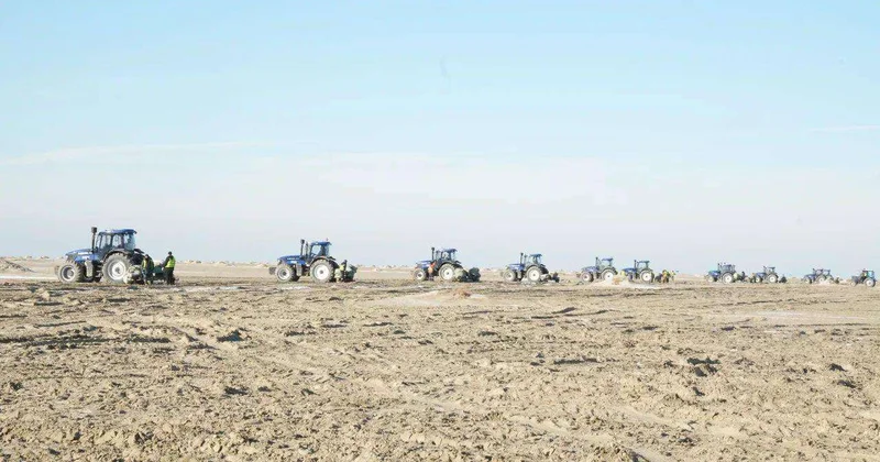 На осушенном дне Арала началась осенняя посадка саксаула