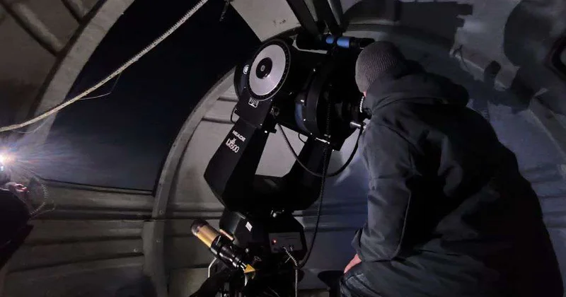 Звезды помогут выбрать профессию