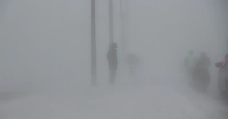 Трое сельчан замерзли в буран в ЗКО