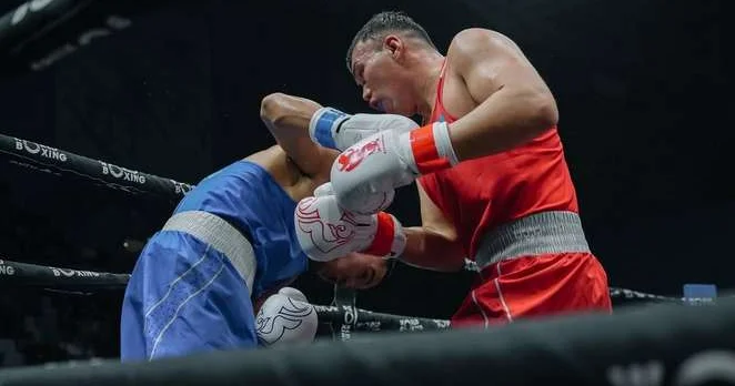 Определились призёры Кубка Федерации бокса Казахстана